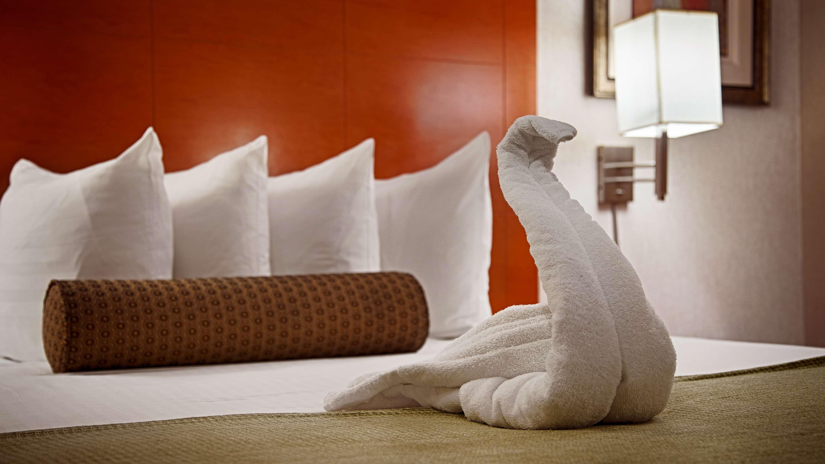 Best Western Jfk Airport Нью-Йорк Екстер'єр фото